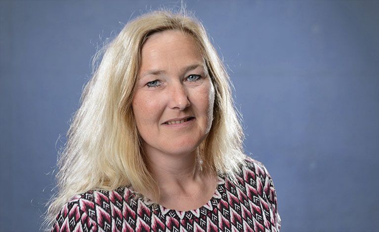 Portraitfoto von Hengst Sylvia