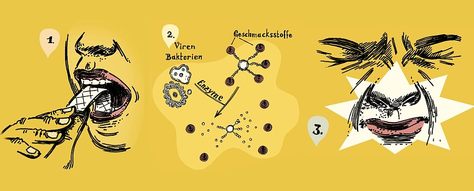 Drei schwarze Zeichnungen auf gelbem Hintergrund. Man sieht auf der ersten Zeichnung ein Gesicht und eine Hand, die einen Kaugummi in den Mund schiebt, auf der zweiten Grafik eine chemische Formel und auf der dritten, wie sich der Mund bzw. das gesamte Gesicht aufgrund der Geschmacksveränderung verzieht. 