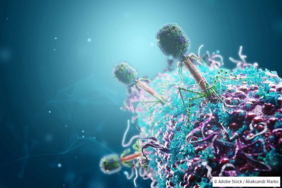 Bakterien nutzen CRISPR-Cas-Systeme, um sich vor angreifenden Phagen zu schützen. Stockbild eines Phagenangriffs.