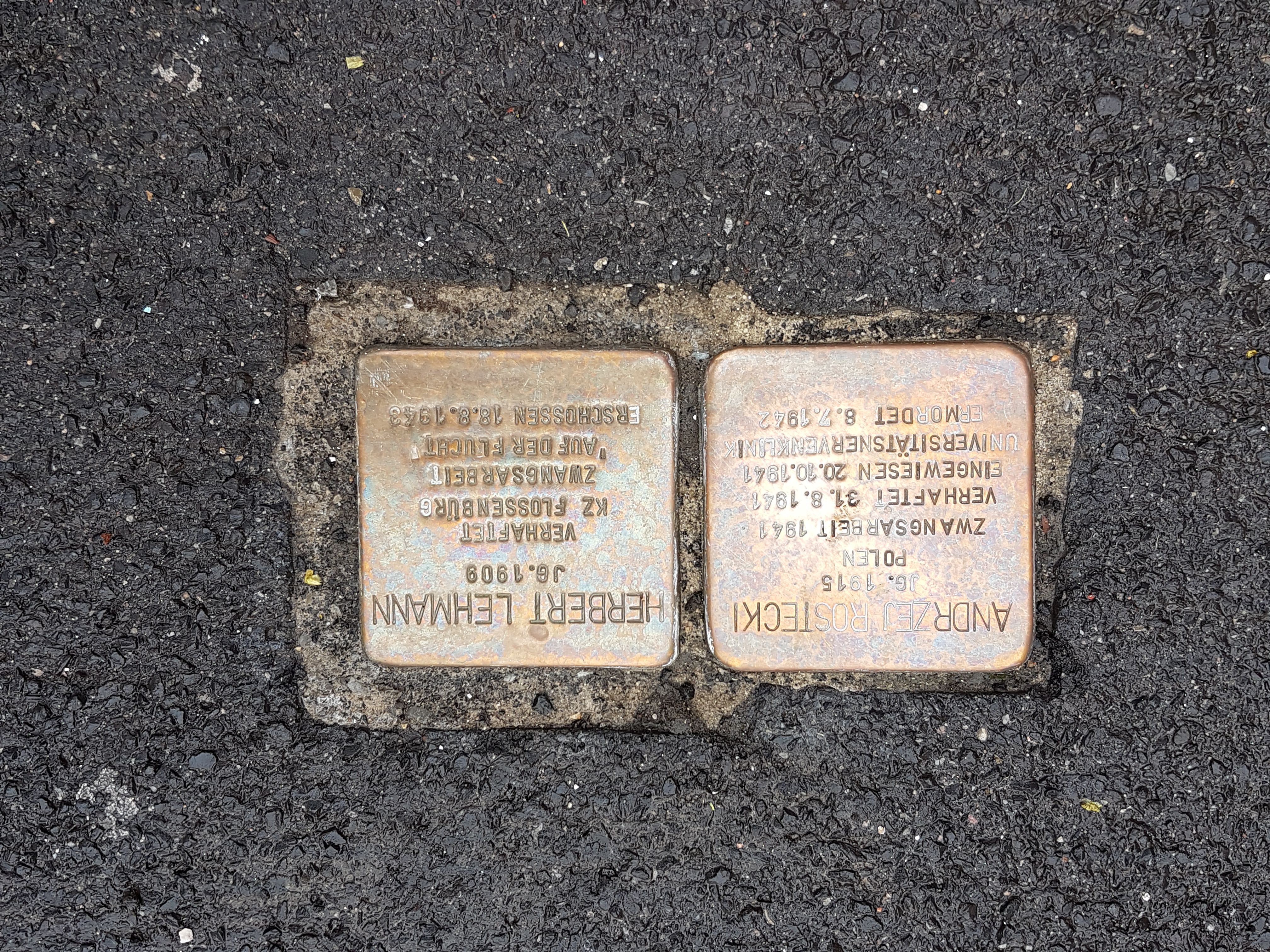 In Erinnerung an Opfer des Nationalsozialismus vor der Klinik verlegte Stolpersteine (Herbert Lehmann, 2008 verlegt; Andrzej Rostecki, 2017 verlegt)