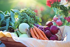 Ein inhaltlicher Schwerpunkt des Aktionstags am 7. März 2025 liegt auf den Zusammenhängen zwischen Ernährung und Klimaschutz.