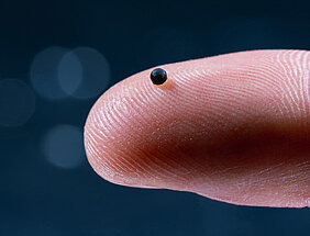 Auf dem Bild sieht man auf einem blauen Hintergrund eine vergrößerte Fingerkuppe auf der eine winzig kleine schwarze Kugel zu sehen ist.