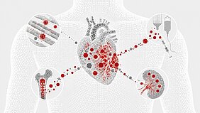 Eine Illustration erstellt mit KI, die den Oberkörper zeigt und das Herz, drumherum einige therapeutische Optionen. 