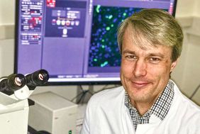 Dr. Felix Fluri
