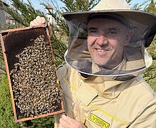 Ein Imker mit Schutzkleidung hält eine Wabe aus einem Bienenstock in seinen Händen
