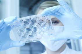 Im Labor des Departments für Kardiovaskuläre Genetik