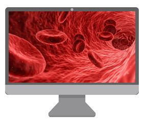 Foto zeigt Hämatologie-Bildschirm