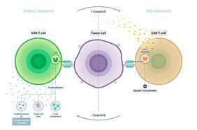 Abbildung der Wirkung des Krebsmedikaments Dasatinib