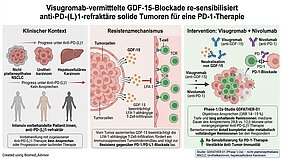 Grafische Abbildung über den Klinischen Kontext, den Resistenzmechanismus und die Intervention Visugromab plus Nivolumab.