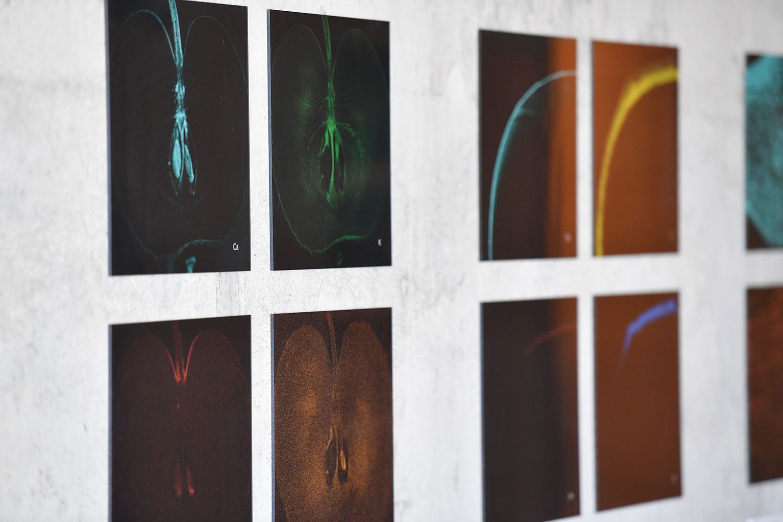 Impressionen der Ausstellung Spektrum Röntgen