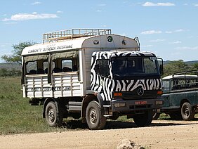 Bei dem Truck trägt das Führerhaus das Muster eines Zebras.