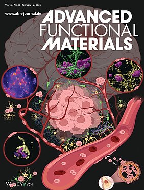 Illustration auf der Rückseite des Einbandes der Fachzeitschrift Advanced Functional Materials.