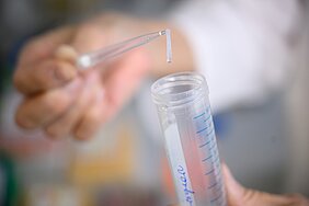 DNA-Extraktion - Durch die Ansäuerung ist ein weißer Faden entstanden