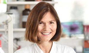 Portraitfoto: Prof. Dr. med. Claudia Sommer
