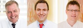 Prof. Dr. Achim Wöckel, Dr, Ralf Joukhadar, Privatdozent Dr. Joachim Diessner