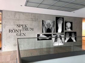 Visualisierung der Ausstellung an einer Wand