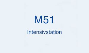 Weitere Infos über die M51 - hier klicken.