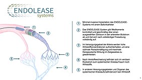 Die Grafik zeigt, wie das ENDOLEASE System mittels Ballonkatheter in die Arterie gesetzt wird, die Wirkstoffe in den Arterie abgibt und sich im Kapillarsystem verteilt. 