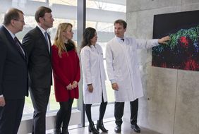 Prof. Andreas Beilhack und seine Mitarbeiterin Musga Qureischi erläuterten bei einem Ortstermin im Zentrum für Experimentelle Molekulare Medizin des Uniklinikums Würzburg den Gästen Unipräsident Prof. Alfred Forchel sowie Alexander und Merete Knauf (von links) die Hintergründe des neuen Forschungsvorhabens. Das eingefärbte Mikroskopie-Schnittbild zeigt eine Abwehrattacke von T-Lymphozyten (in Grün- und Blautönen) auf eine Darmwand.