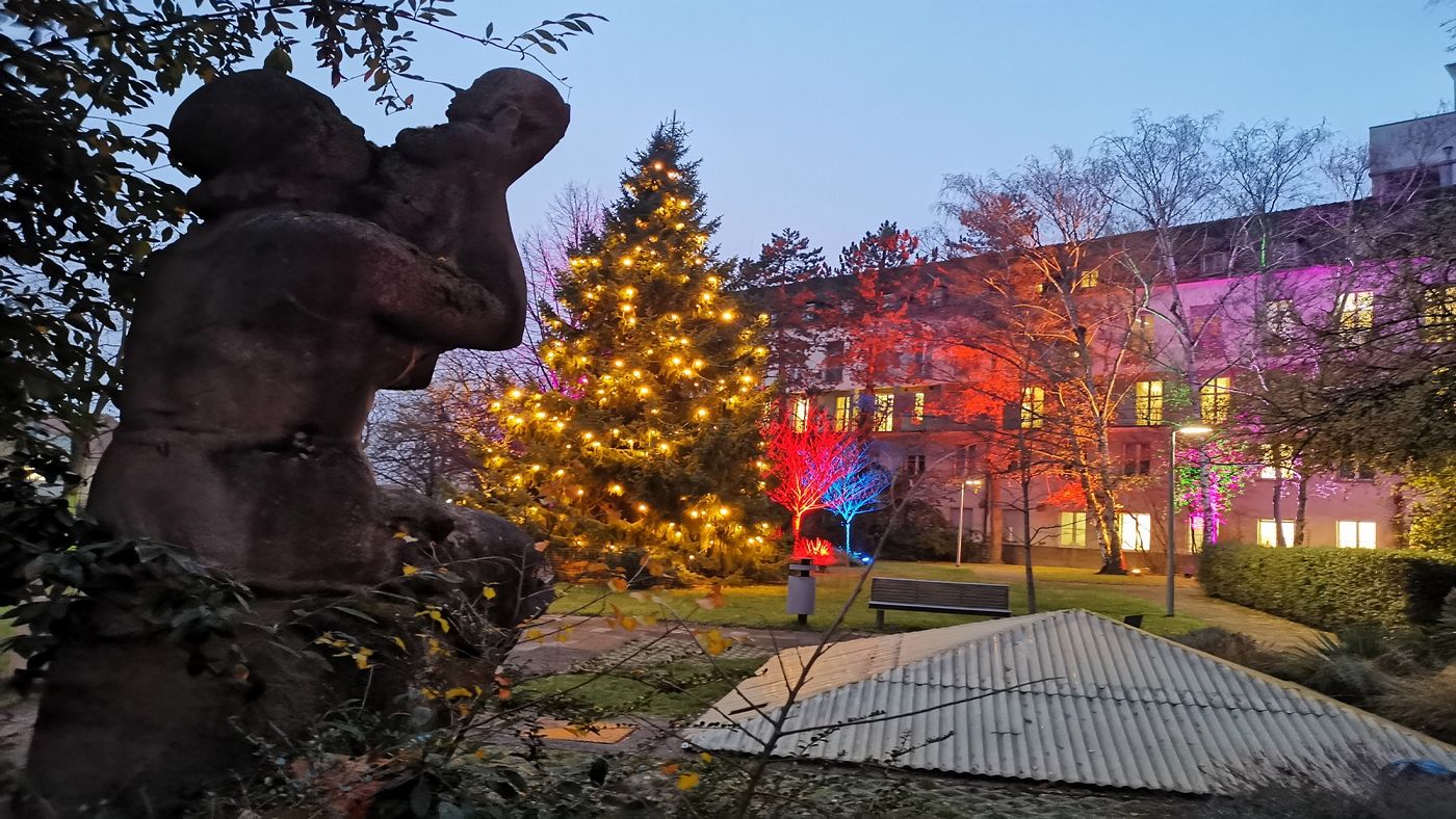 Garten der Frauenklinik mit illuminierten Bäumen in den Farben Rot, Lila und Blau