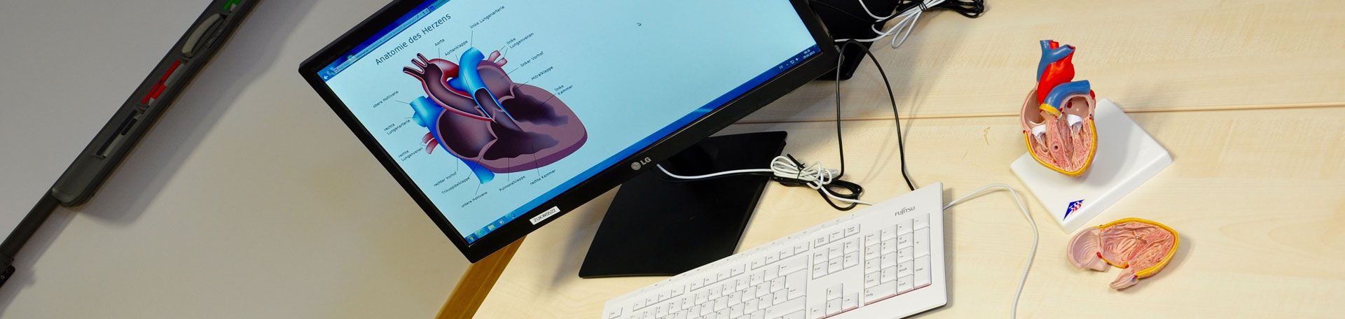 Illustrationsbild: Computer und Herzmodell auf Schreibtisch