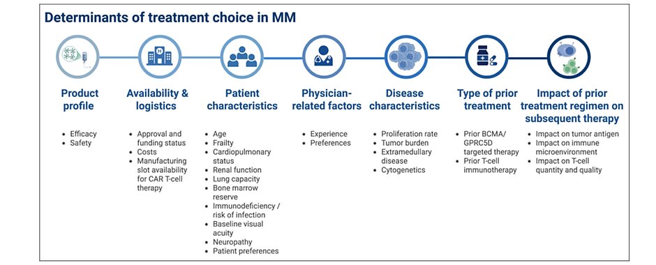Abbildung zu den Entscheidungsfaktoren für die Wahl der Behandlung bei Multiplem Myelom