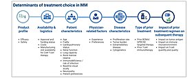 Abbildung zu den Entscheidungsfaktoren für die Wahl der Behandlung bei Multiplem Myelom