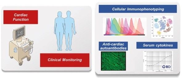 Grafische Zusammenfassung von Hypothese und Arbeitsplan des SFB-Projekts C5