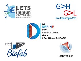 Logos der Sonderforschungsbereiche Transregios 