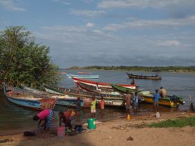 Bild zeigt große Insel Ukerewe auf der zentrale Projekte des neuen Zentrums zur Bekämpfung der Tropenkrankheit Schistosomiasis durchgeführt werden.