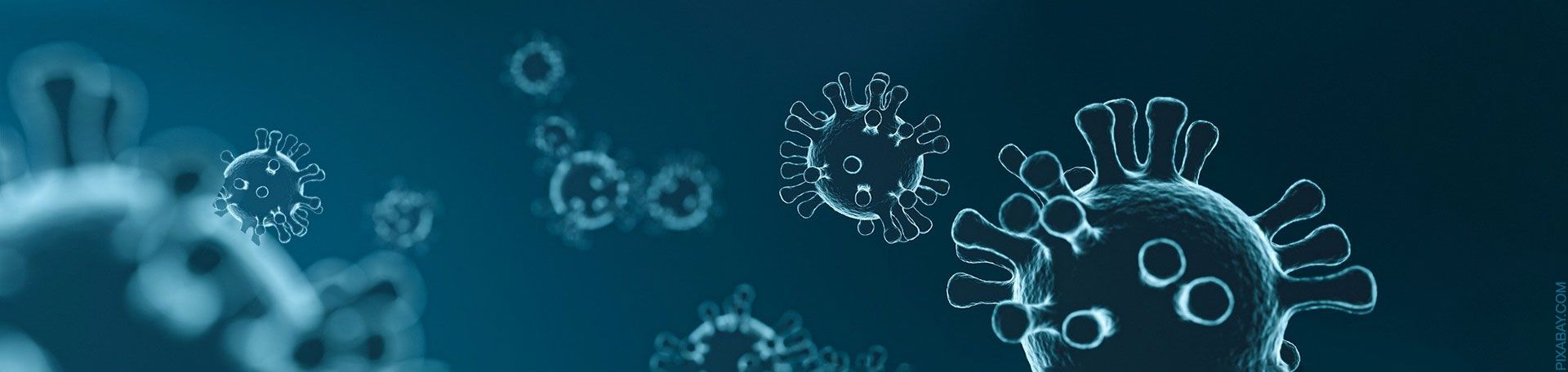 Illustrationsgrafik Corona-Virus