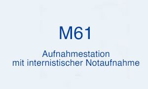 Weitere Infos über die M61 - hier klicken.