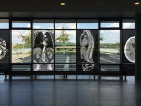 Visauliserung der Fenstergestaltung für die Ausstellung "Spektrum Röntgen"