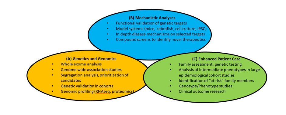 Figure: Translational Research concept outlining the three main pillars of our Research program. 
