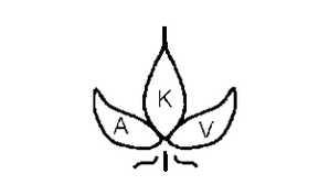 Logo Vaskulitis
