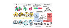 Die Nervenzellen und Unterschiede zwischen den Menschen bei der Angstkonditionierung. Hier ist eine schematische Darstellung der Analyseebenen (a). Das Gehirn von CS+ ist aktiver (b) und auch inaktivierter (c) als das von CS-. Das wurde mit einer Mega-Analyse (n = 1888 gesunde Kontrollpersonen) herausgefunden. Hier ist ein Bild, das zeigt, wie der normative Modellierungsrahmen (d) aussieht. Normative Wahrscheinlichkeitskarten zeigen den Prozentsatz der Teilnehmer in der gesunden Kontrollteststichprobe, die positive (warme Farben – rechts) oder negative Abweichungen (kühle Farben – links) >±2,6 innerhalb jedes Voxels aufwiesen. Der Kreis zeigt, dass es oft große Unterschiede in der ventralsten Region des vmPFC gibt (e).