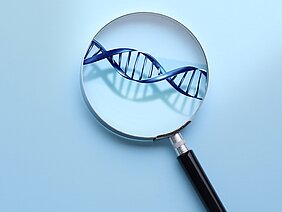 DNA unter Lupe 