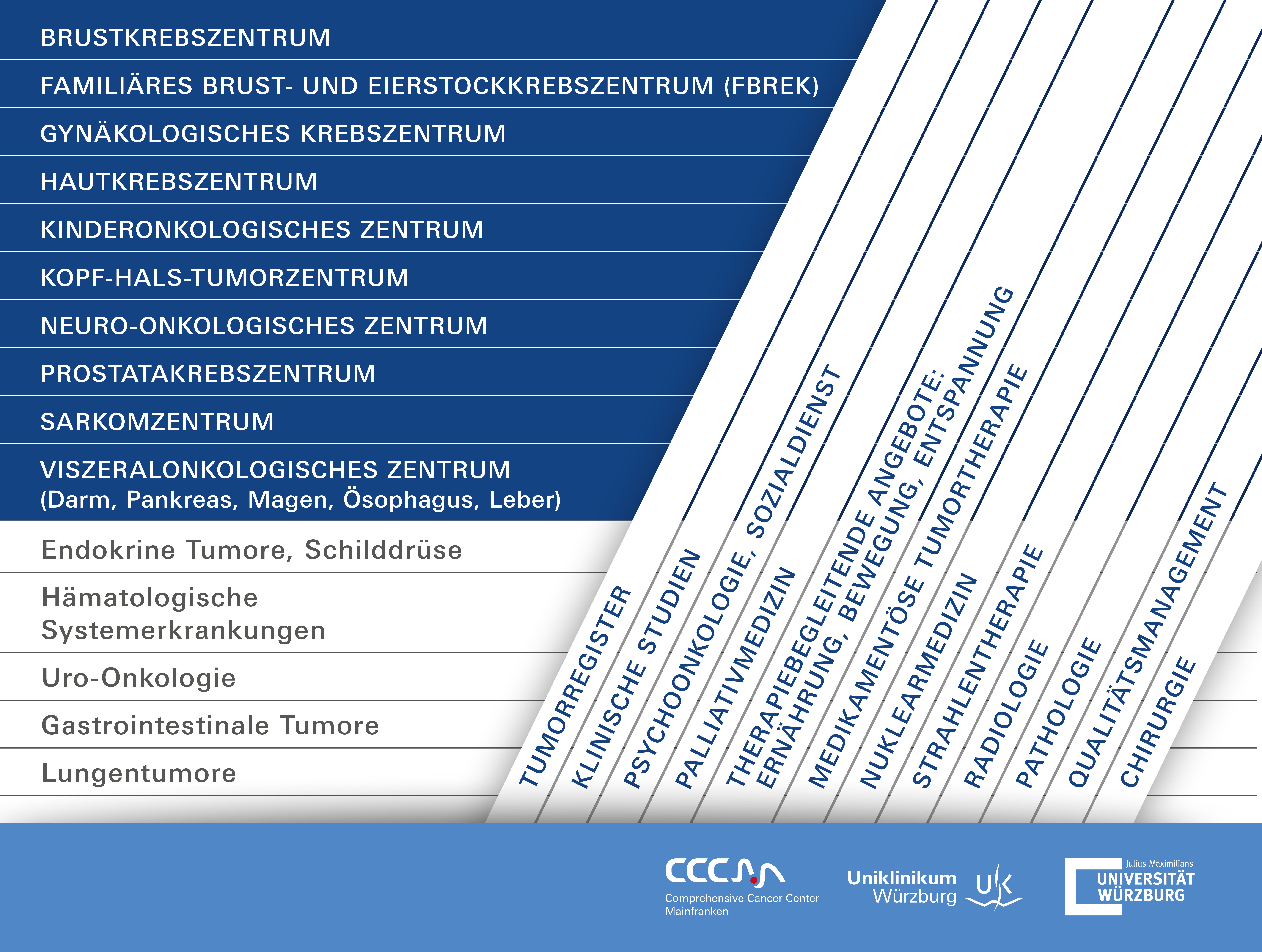 Organisationsstruktur des Onkologischen Zentrums Grafik Organisationsstruktur des Onkologischen Zentrums