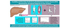 Graphical Abstract - Hepatologie Grafik, die die Studie zusammenfasst mit grafischen Abbildungen der Leber, der Röntgenaufnahme des Oberschenkels und des Aufstehtests.