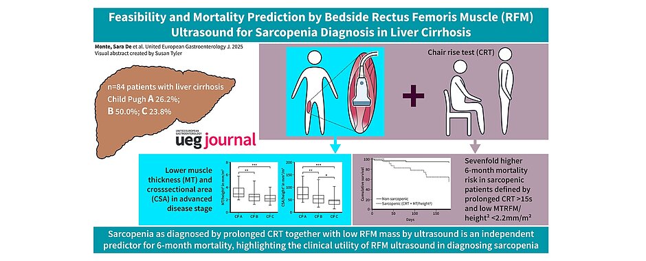 Grafik, die die Studie zusammenfasst mit grafischen Abbildungen der Leber, der Röntgenaufnahme des Oberschenkels und des Aufstehtests.