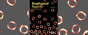 Das Cover von Biophysical Reports zeigt leuchtende Mikrokugeln, die aussehen wie gelb-rote Ringe, auf schwarzem Hintergrund. 