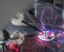 Impressionen Infotag Operationsroboter live erleben