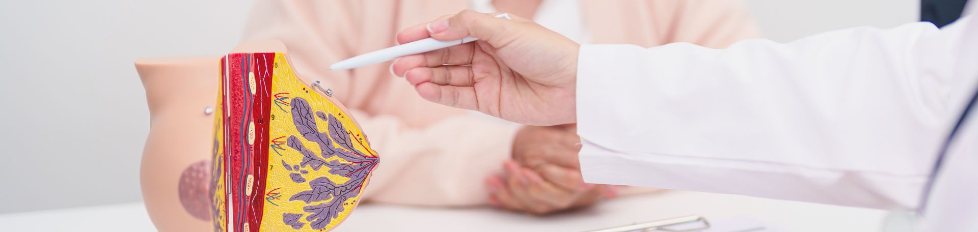 Ärztliche Person zeigt mit Stift auf Modell der Brust
