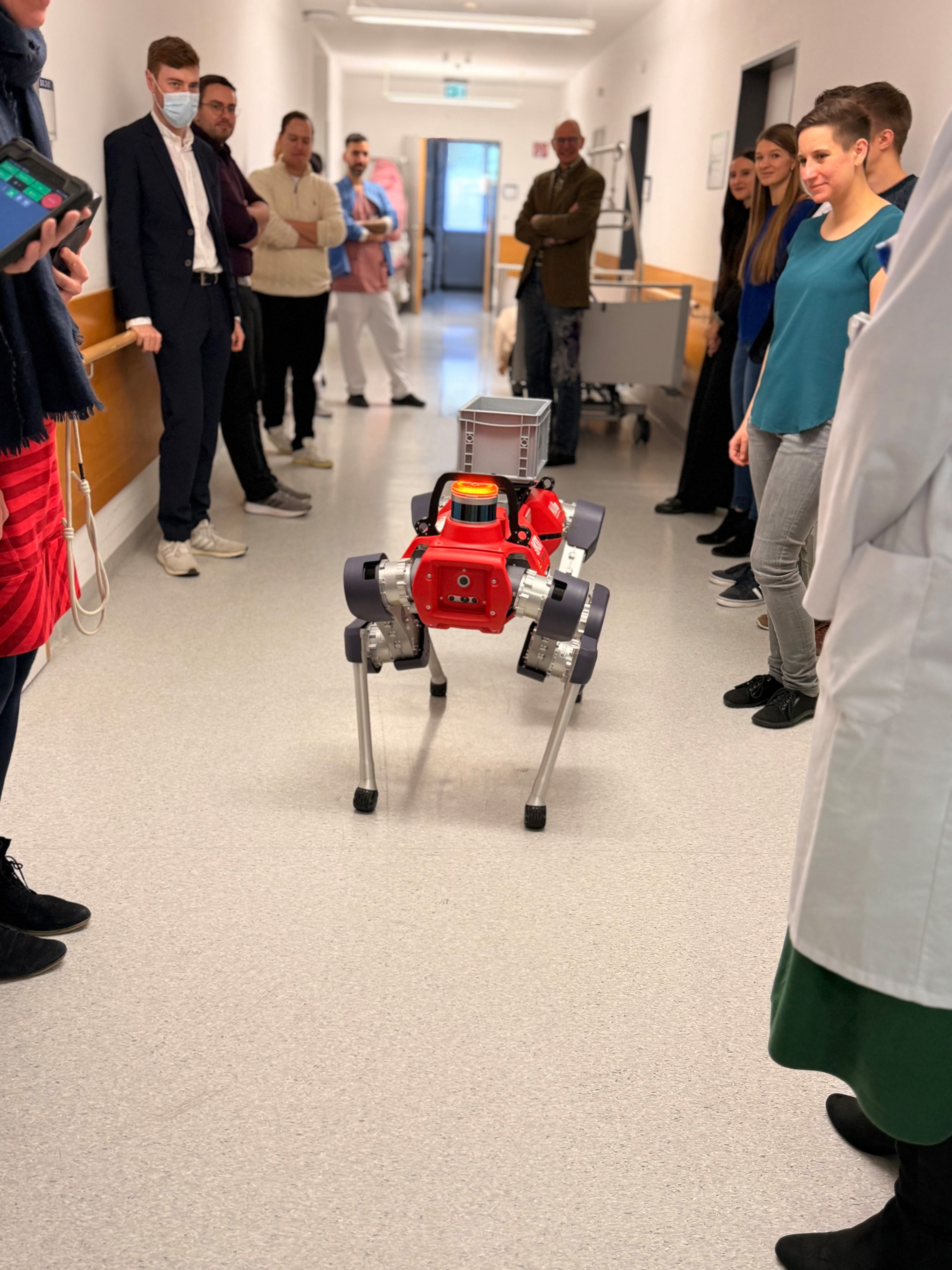 Roboterhund HELIA steht auf dem Flur der Station mit einigen Zuschauenden, darunter Klinikpersonal, Patienten und die Forschenden.