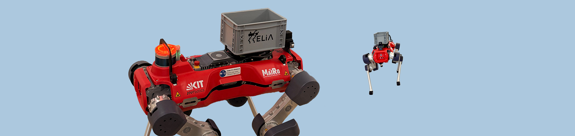 Roboterhund HELIA. Fotografin: Kim Sammet roter Roboterhund des Projekts HELIA vor hellblauem Hintergrund