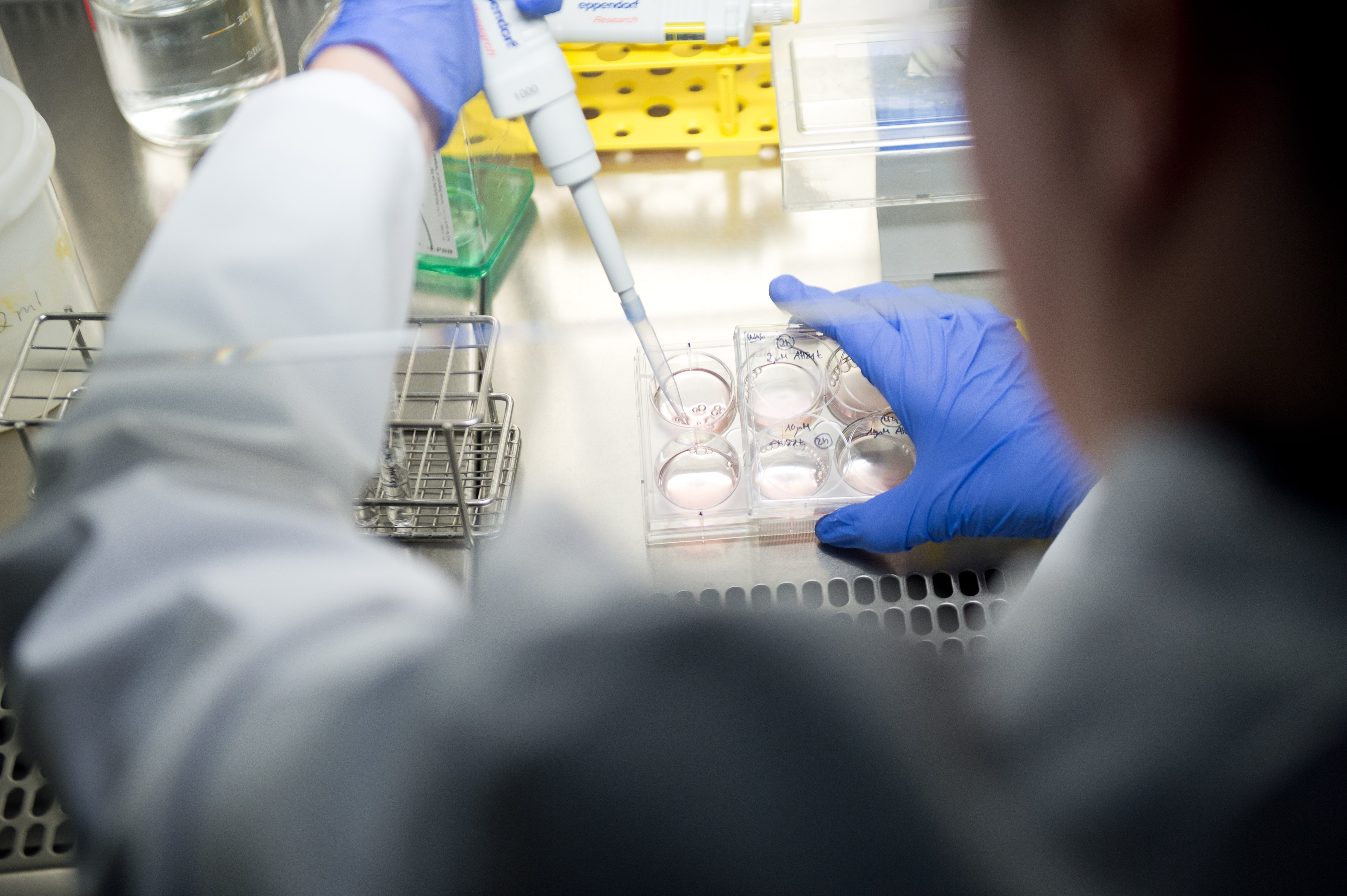 Forschungslabors des Uniklinikums Würzburg