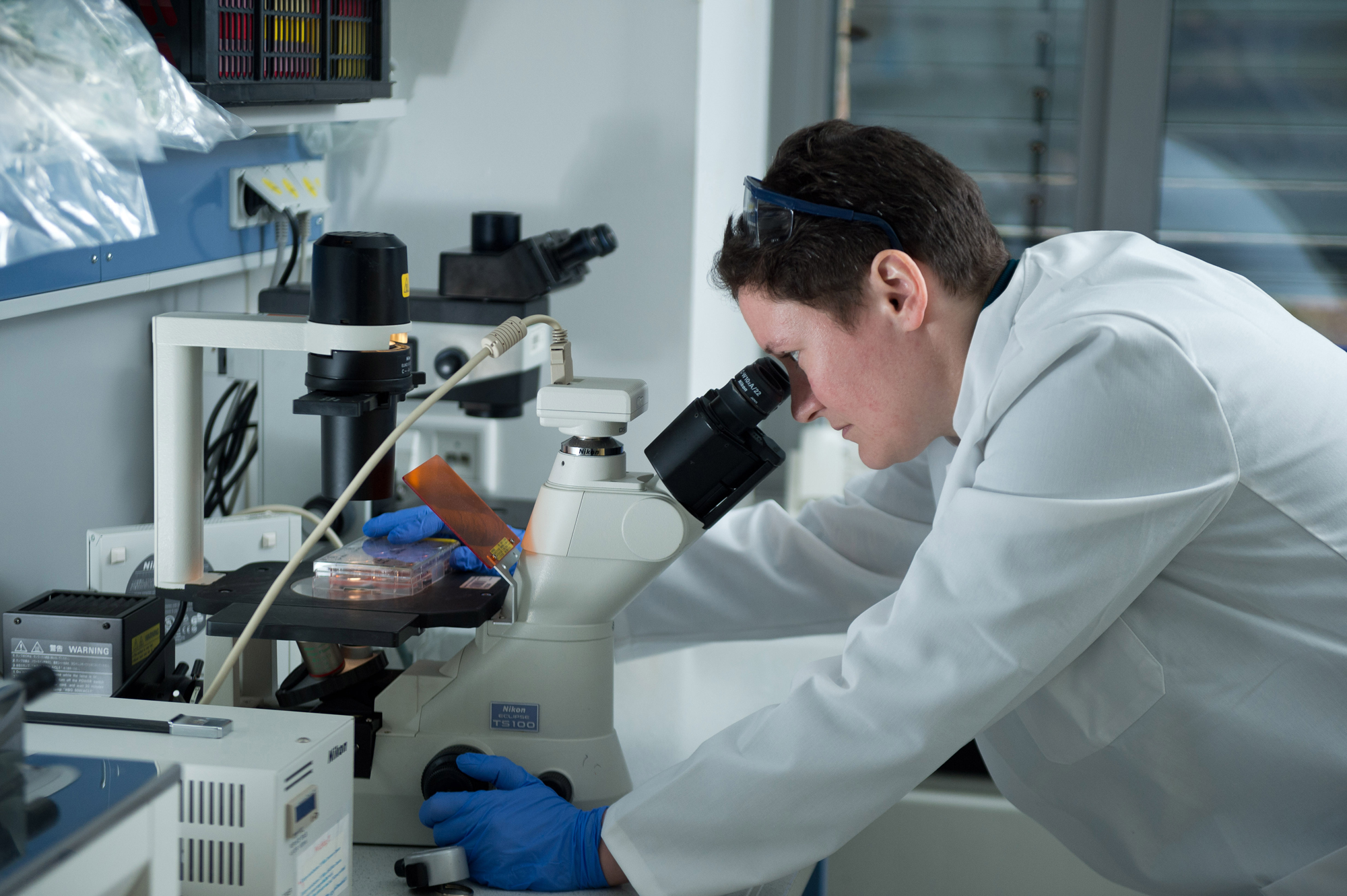 Forschung und Lehre, Uniklinik Würzburg, Personal- und Materialkosten, Labor, 