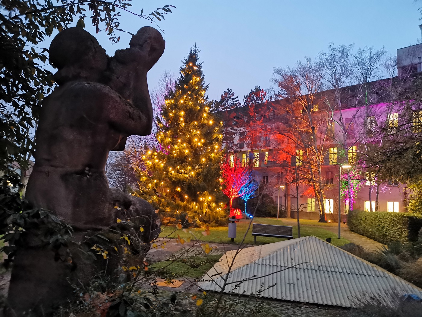 Garten der Frauenklinik mit illuminierten Bäumen in den Farben Rot, Lila und Blau