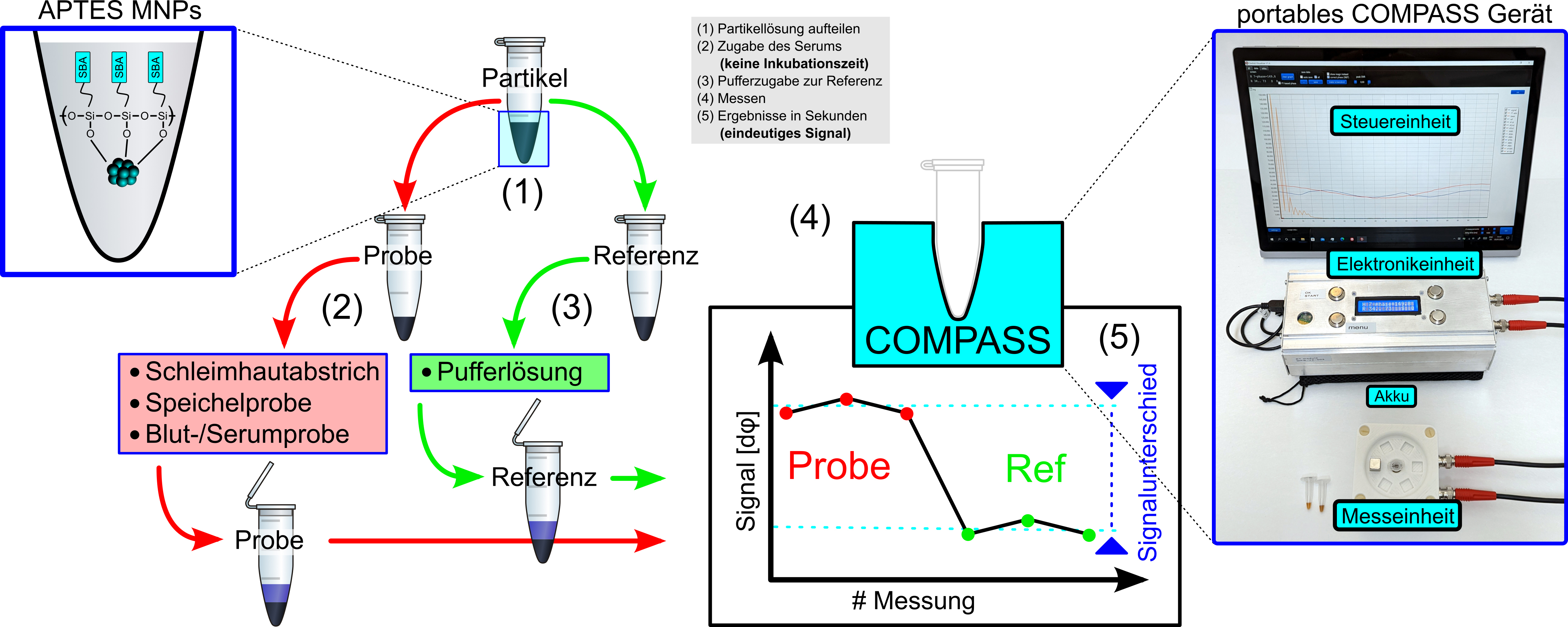 Grafik mit Funktionsweise des neuartigen COMPASS-Tests