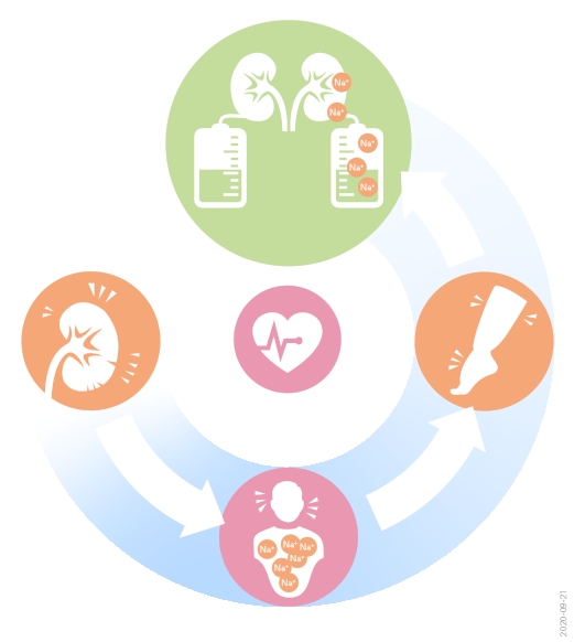 Studienaufbau: Kann eine Standard-Dialysat-Natriumkonzentration von 137 mmol/l verglichen mit 140 mmol/l kardiovaskuläre Ereignisse und Todesfälle bei erwachsenen Hämodialysepatientinnen und -patienten verringern?